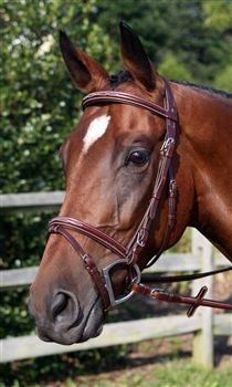 Nunn Finer Modena Event Bridle Cob Havana