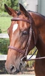 Nunn Finer Ravenna Bridle Cob