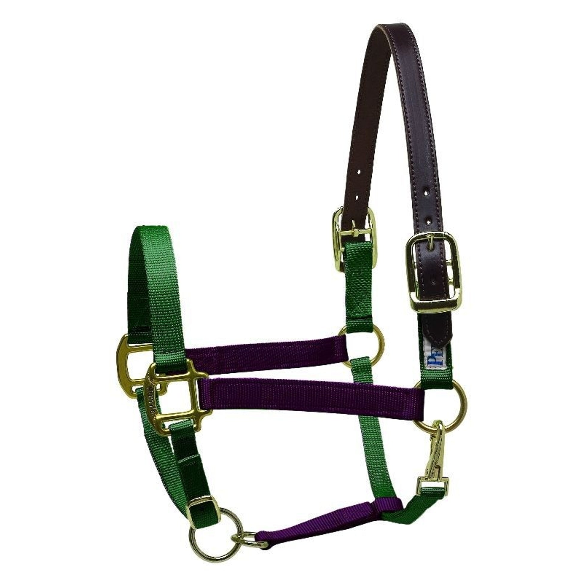 Perri's Color Vision Halter
