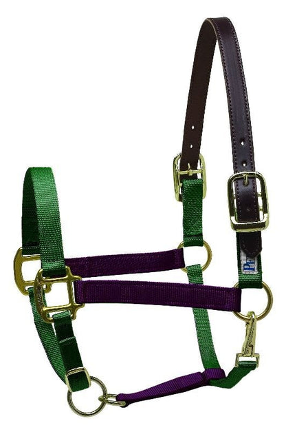 Perri's Color Vision Halter