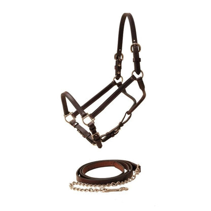 Tory Show Halter And Chain Lead Horse Black