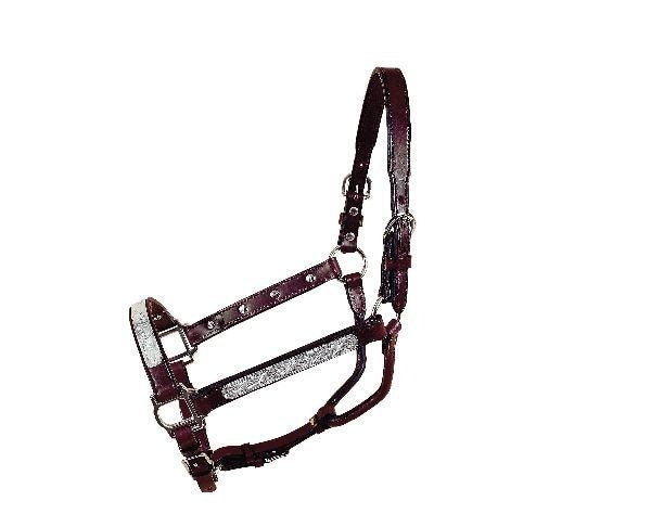 Bridon Western Cuir Tubulaire Avec Rawhide Bridon Western Cuir Tubulaire Avec Rawhide