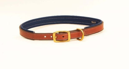 TH816304.jpg