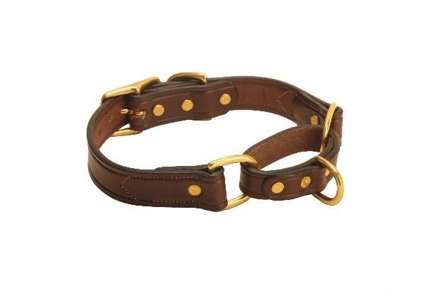 Tory Lthr Martingale Lthr Dog Collar 16In Hav
