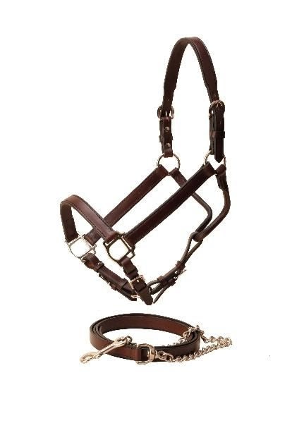 Tory Tapering Crown Show Halter/Chain Horse Blk
