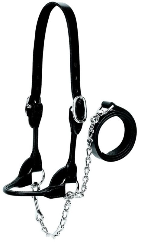 Weaver Leather Cattle Rounded Show Halter XL Blk