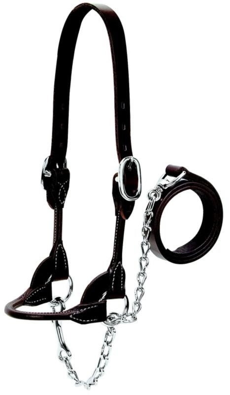 Weaver Leather Cattle Rounded Show Halter XL Brown