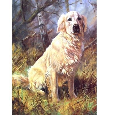 A Friend Golden Retriever Cards - 6Pk 5x7