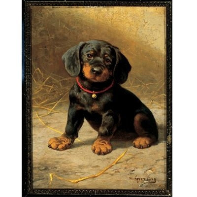 A Puppy By Sperling Heinrich 13x18