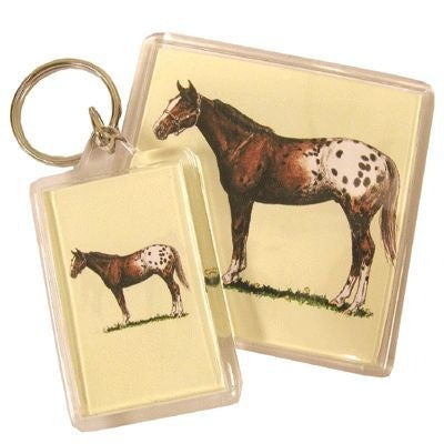 Acrylic Magnet - Appaloosa
