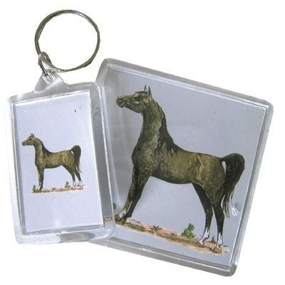 Acrylic Magnet - Arabian