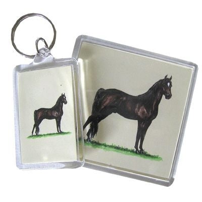 Acrylic Magnet - Morgan