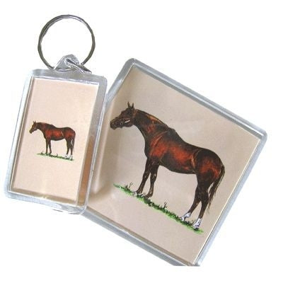Acrylic Magnet - Belgian