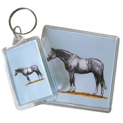 Acrylic Magnet - Warmblood