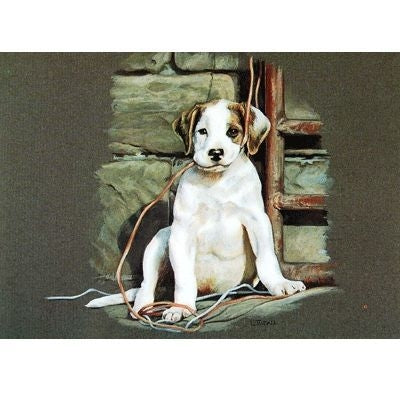 All Strung Up Puppy Cards - 6Pk 5x7