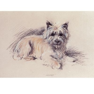 Andrew By Mac 8x6