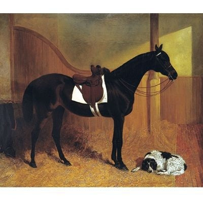 Askar Roger in a Loose Box By JF Herring Sr 23x19