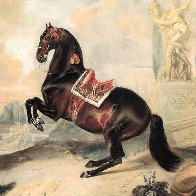 Bay Horse in Lavade Cards - 6Pk 6x6