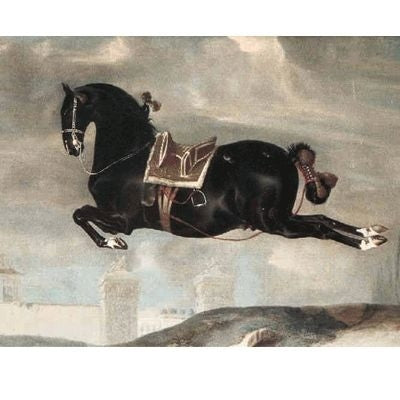 Black Horse in Capriole Cards - 6Pk 5x7