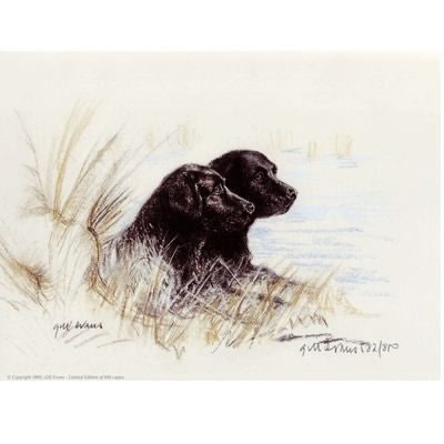 Black Labradors By Gill Evans Matted 12.75x10.75