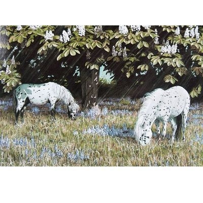 Bluebell Time Spotted Ponies Cards - 6Pk 5x7