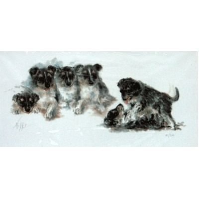 Border Collie Puppies By Nikki 16x10