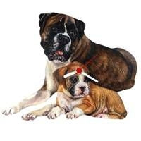 Boxer Family Shaped Clock
