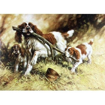 Branching Out English Springer Cards - 6Pk 5x7