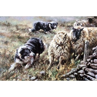 Bringing Them In By Mick Cawston 15x10