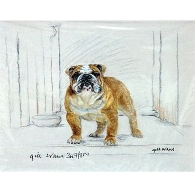 Bulldog By Gill Evans Matted 12.75x10.75