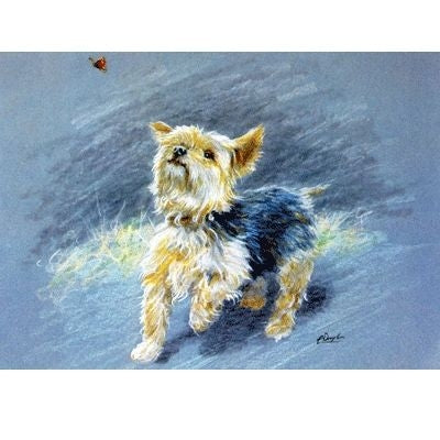 Butterfly Hunter Yorkshire Terrier Cards - 6Pk