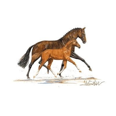 Cappuccini Mare/ Foal By Jan Kunster Matted