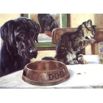 Cat Burglar Cat and Labrador Cards - 6Pk 5x7