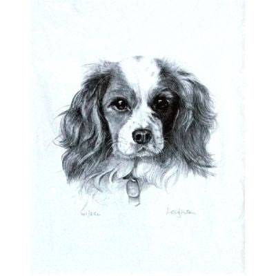 Cavalier King Charles Spaniel Leighton 10.75x12.75