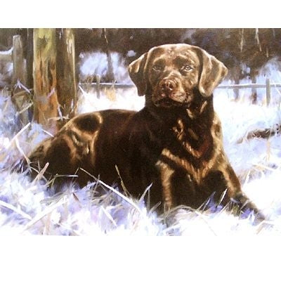 Chocolate Ice Labrador Retriever Cards - 6Pk 5x7