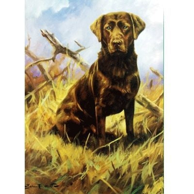 Chocolate Lab Labrador Retriever Cards - 6Pk 5x7
