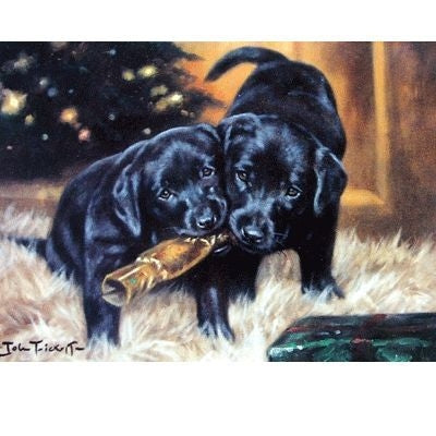 Labrador Retrievers-Blank Greeting Card-6 Pack 5x7
