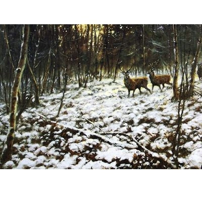 Christmas Eve Deer-Blank Greeting Card-6 Pack 5x7