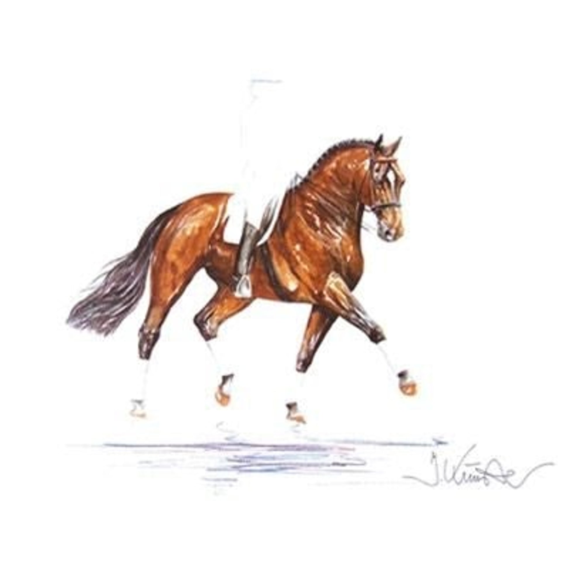 Classic Dressage- By Jan Kunster 19.75 x 27.5
