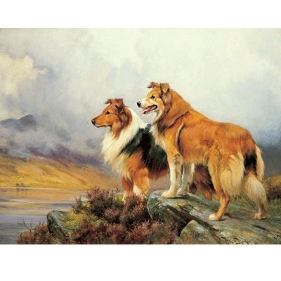 Collies in a Highland Landscape By Barker Wright