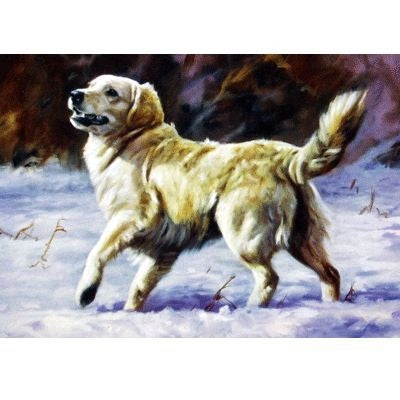 Golden Retriever-Blank Greeting Cards - 6 Pack 5x7