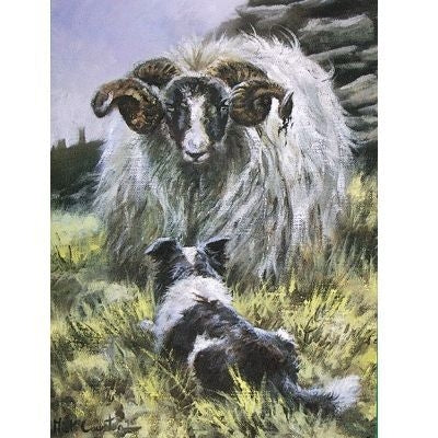 Border Collie-Blank Greeting Cards - 6 Pack 5x7