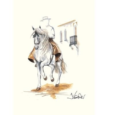 Cordoba Andalusian-Jan Kunster Matted 15.75x19.75