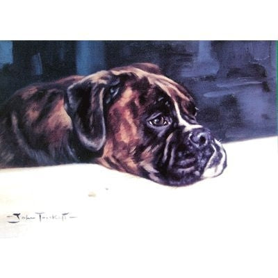 Crumbs Boxer- Blank Greeting Cards - 6 Pack 5 x 7