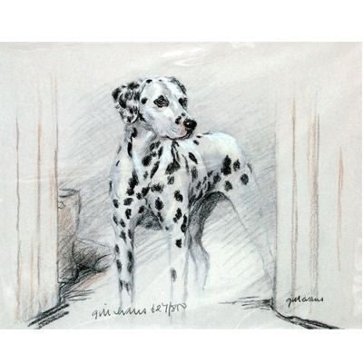 Dalmatian By Gill Evans Matted 12.75 x 10.75