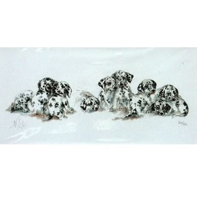 Dalmatian Puppies By Nikki Matted 16 x 10