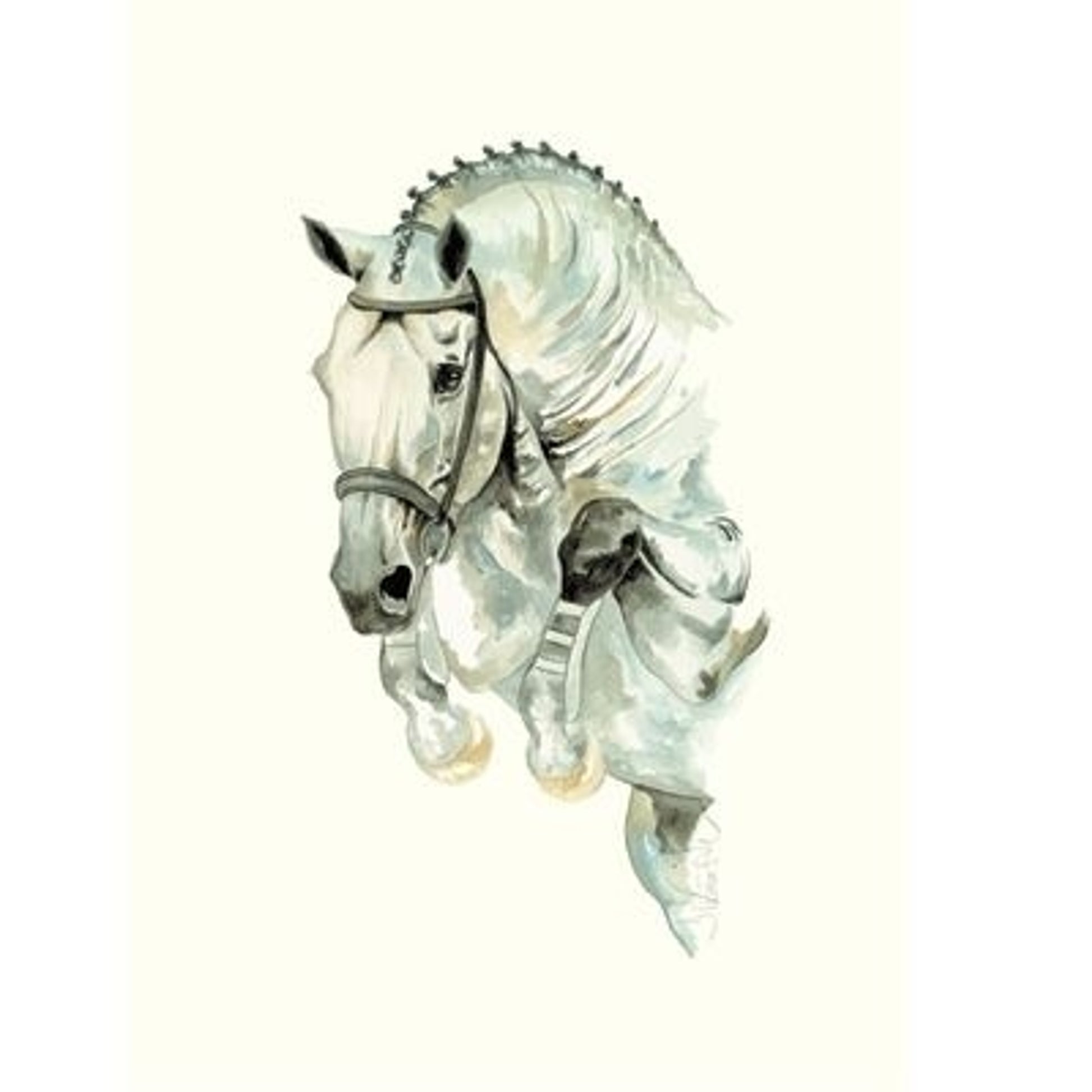 Daylight Show Jumper By Jan Kunster 19.75 x 27.5
