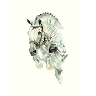 Daylight Show Jumper By Jan Kunster 19.75 x 27.5