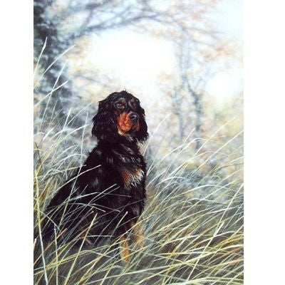 Gordon Setter Blank Greeting Cards - 6 Pack 5 x 7