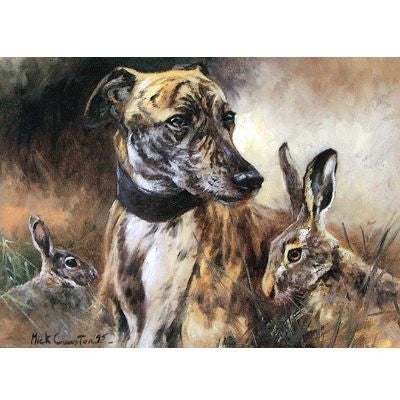 Greyhound Blank Greeting Cards - 6 Pack 5x7